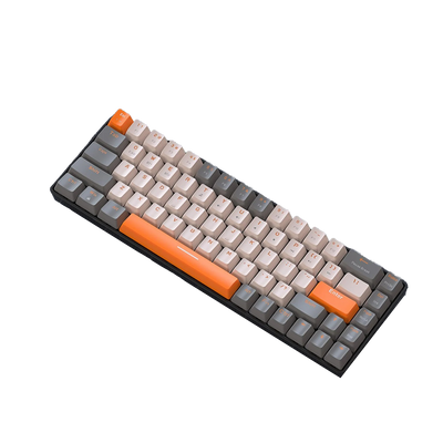 Mechanical Keyboard TJ Phantom 68