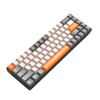 Mechanical Keyboard TJ Phantom 68