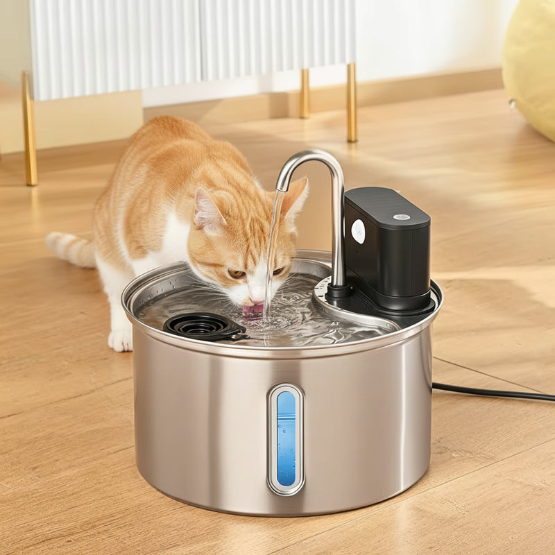 Cordless, quiet, and easy—made for daily sipping