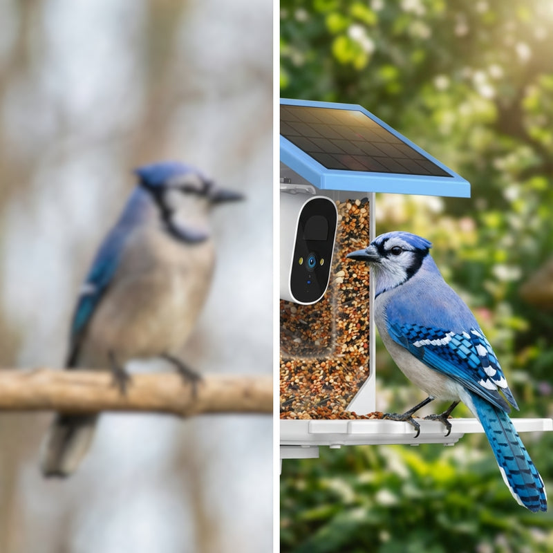 STATISTICS IMAGE - SquirrelGuard Smart Bird Feeder Cam (IP66, 4MP)