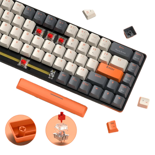 Mechanical Keyboard TJ Phantom 68