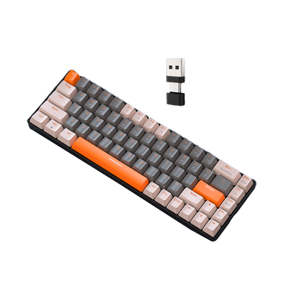 Mechanical Keyboard TJ Phantom 68