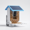 Smart Bird Feeder Camera with Motion Detection