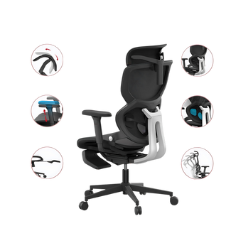 Ergonomic Chair TJ QuantumSeat