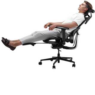 Ergonomic Chair TJ QuantumSeat