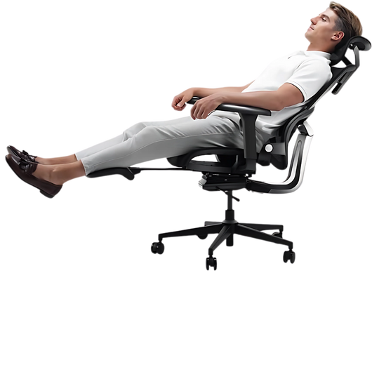 Ergonomic Chair TJ QuantumSeat