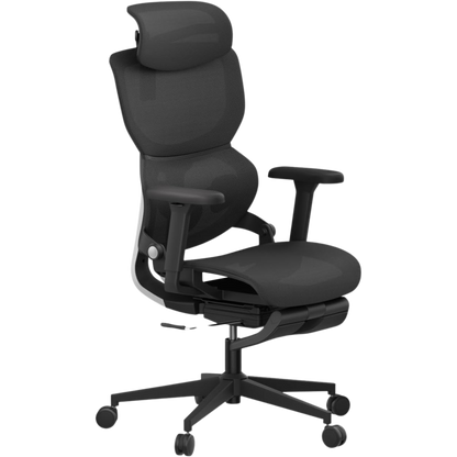 Ergonomic Chair TJ QuantumSeat