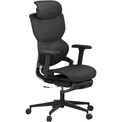Ergonomic Chair TJ QuantumSeat