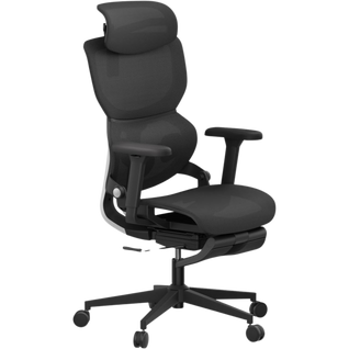 Ergonomic Chair TJ QuantumSeat