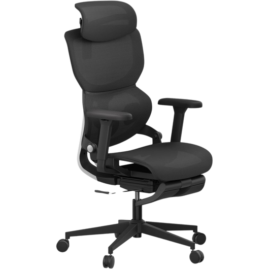 Ergonomic Chair TJ QuantumSeat