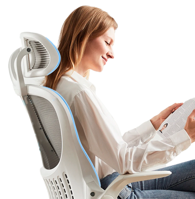 Comfort Office Chair TJ PostureMax