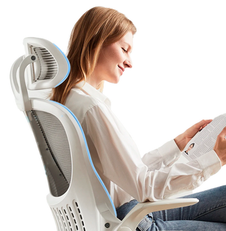 Comfort Office Chair TJ PostureMax