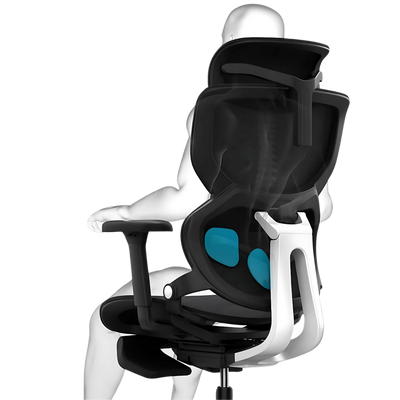 Ergonomic Chair TJ QuantumSeat