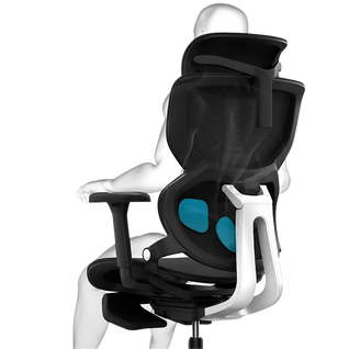 Ergonomic Chair TJ QuantumSeat