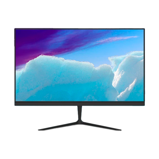 Computer monitor TJ VisionFlex 24-V
