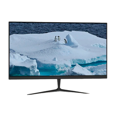 Computer monitor TJ VisionFlex 24-V