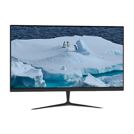 Computer monitor TJ VisionFlex 24-V